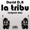 David D.R - La Tribu - Single